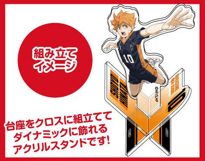 Haikyu!! - The Movie: Battle at the Garbage Dump 01 Shoyo Hinata